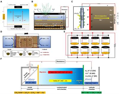 Advance in remediated of heavy metals by soil microbial fuel cells: Mechanism and application